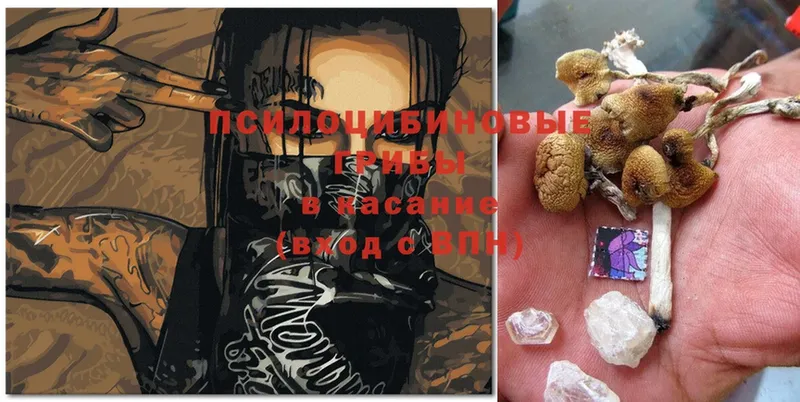 МЕГА зеркало  Кунгур  Псилоцибиновые грибы Psilocybe 