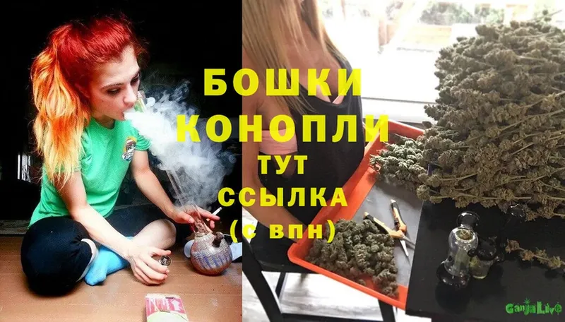 где найти наркотики  Кунгур  Марихуана OG Kush 